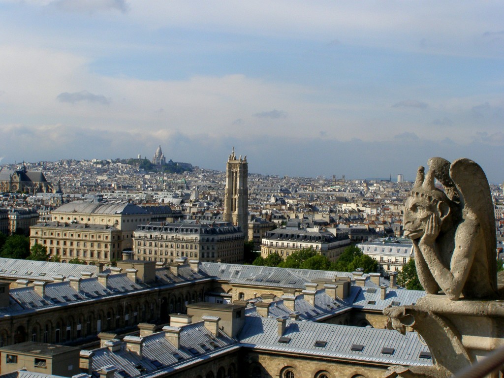 View from Notre Dame, Paris
