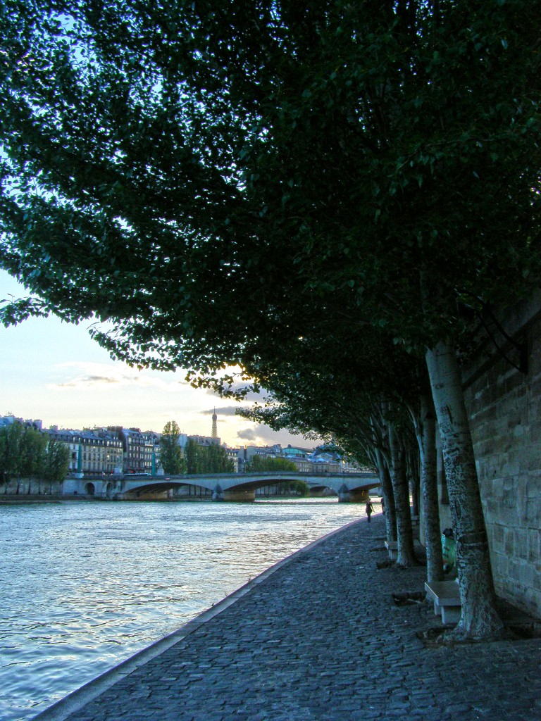 The Seine Paris