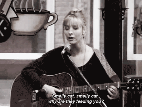 Smelly Cat Phoebe Friends gif