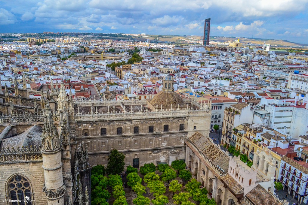 View of Seville from the Giralda Tower