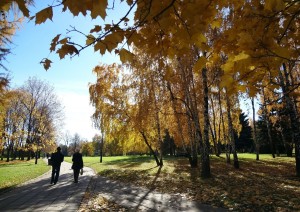 Kolomenskoye in autumn