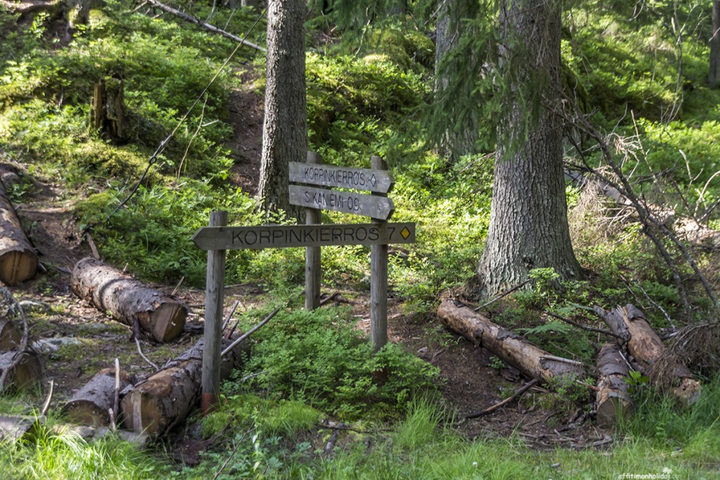 A Day Trip From Helsinki At The Nuuksio National Park