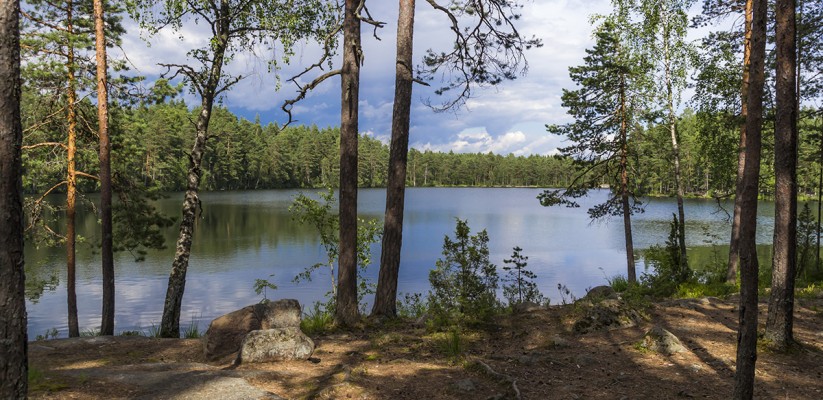 A Day Trip from Helsinki at the Nuuksio National Park Finland