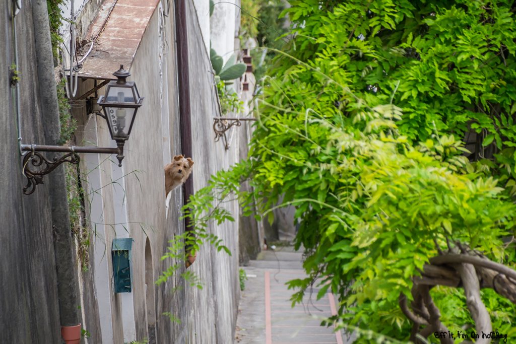 from praiano to positano in one day (19)