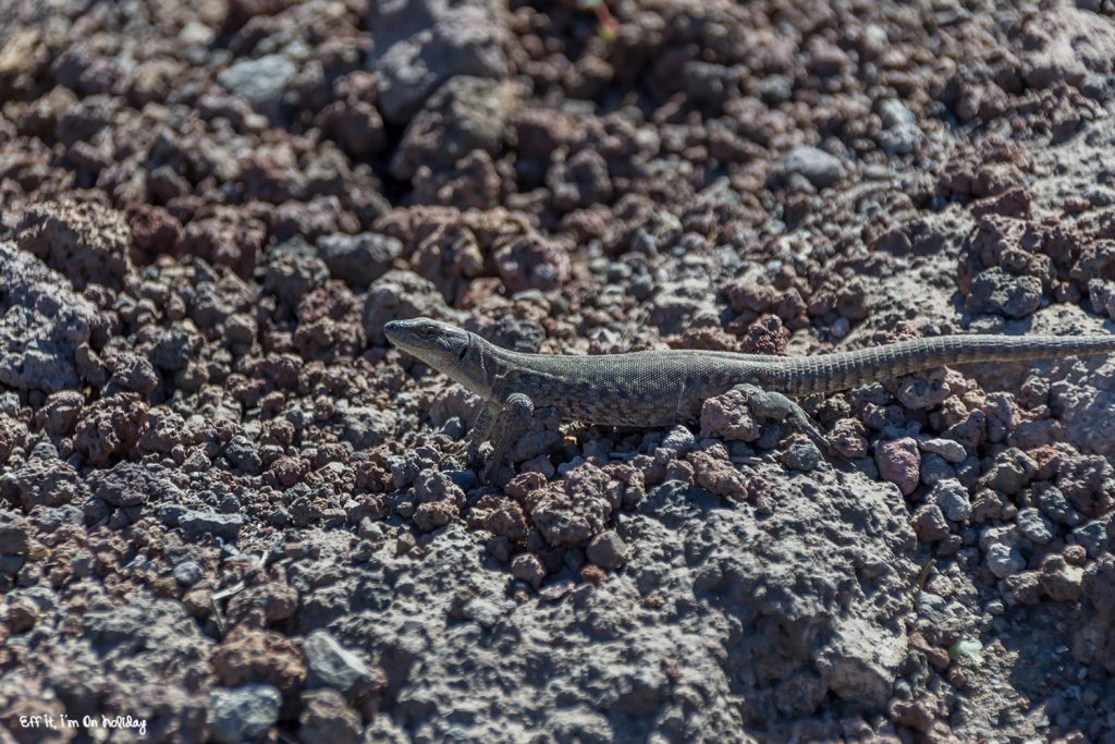 Hiking on Mount Vesuvius