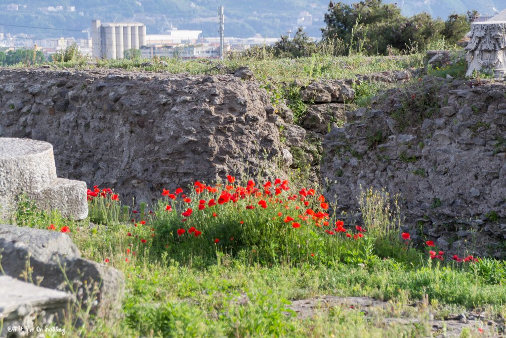 Poppies at Pompeii