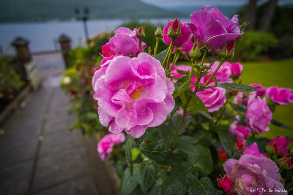 Scottish Highlands Tour: Myrtle Bank Guest House