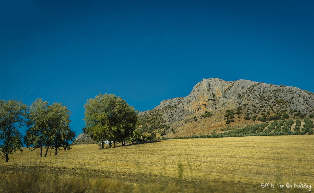 Why you should visit Andalusia: the spectacular views