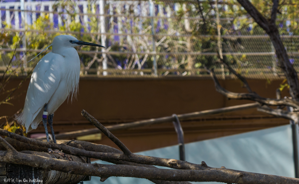 L'Oceanografic Valencia