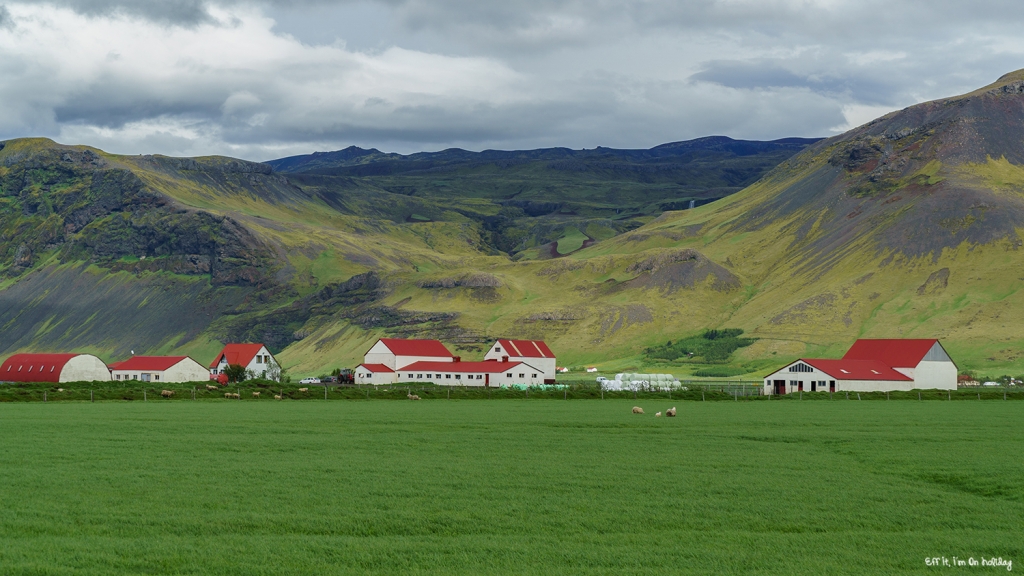 Southern Iceland tour with BusTravel: Holt Farm