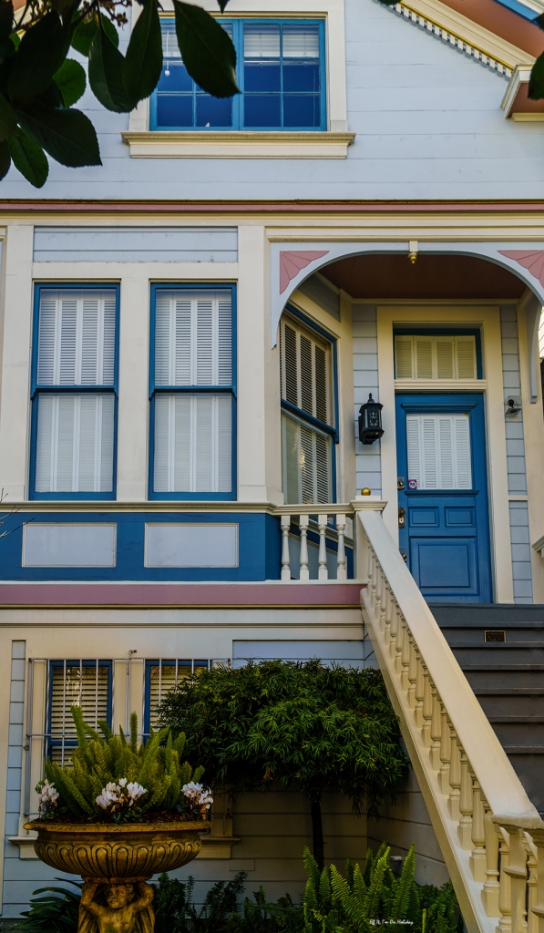 San Francisco and Painted Ladies