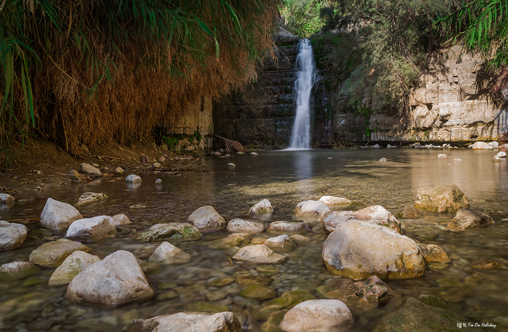 Ein Gedi, Israel