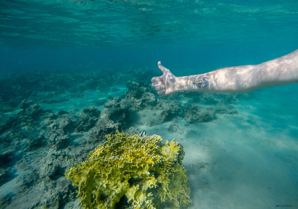 Aqaba, Red Sea, Jordan