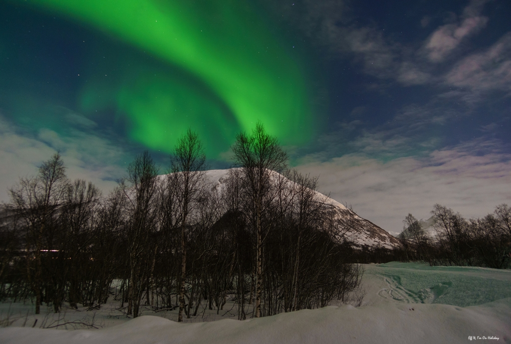 Norhtern Lights, Tromso