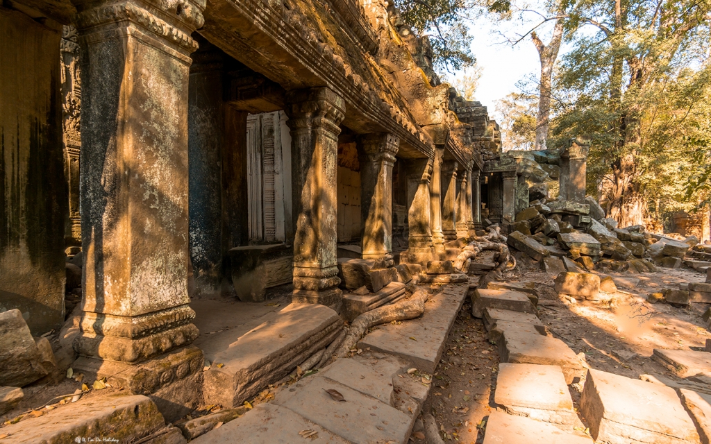 Ta Prohm temple, Cambodia