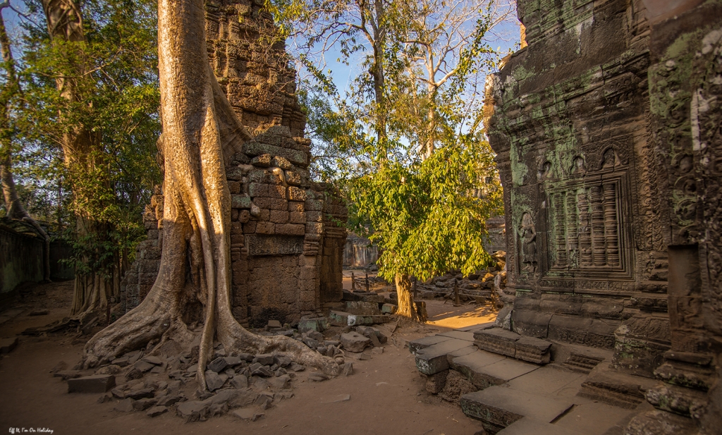 Ta Prohm temple, Cambodia