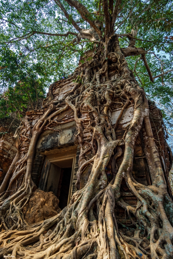 Koh Ker temple, Cambodia