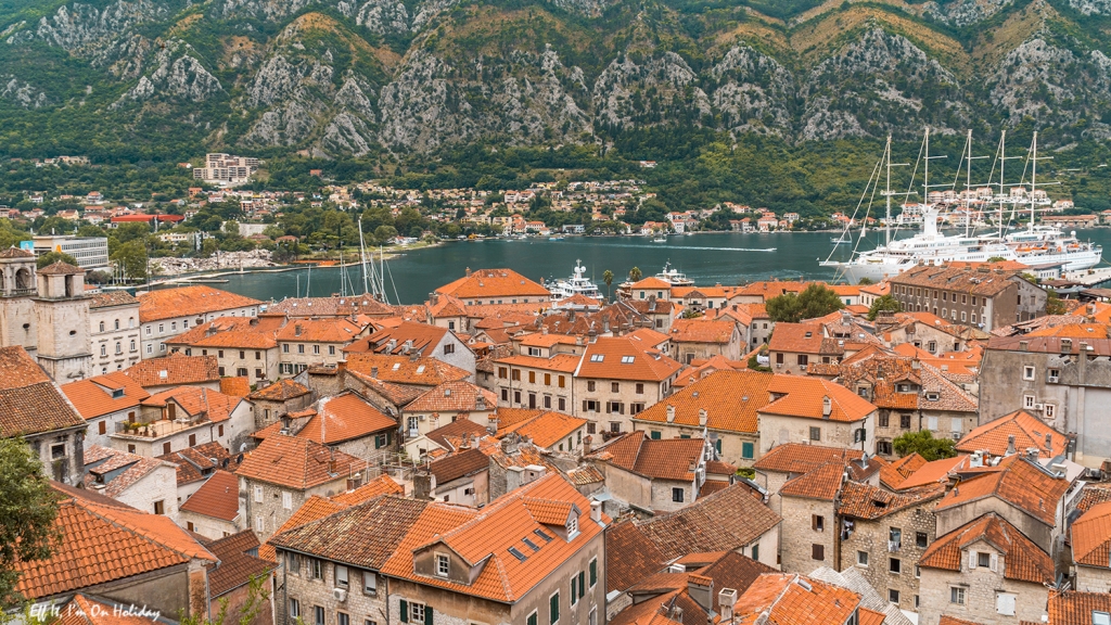 View of Kotor bay 