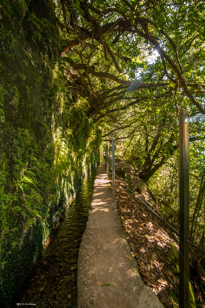 Levada do Caldeirao Verde, Madeira