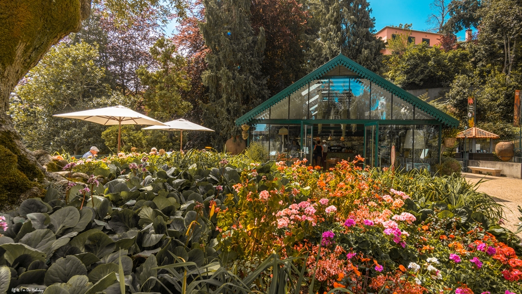 Botanical garden in Monte, Madeira