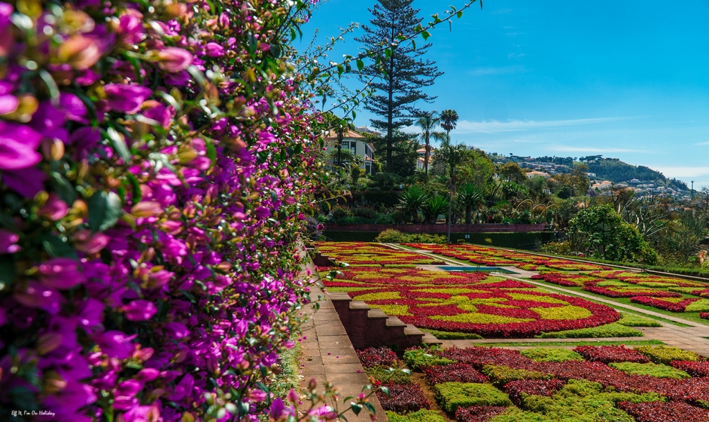 Botanical garden in Funchal, Madeira