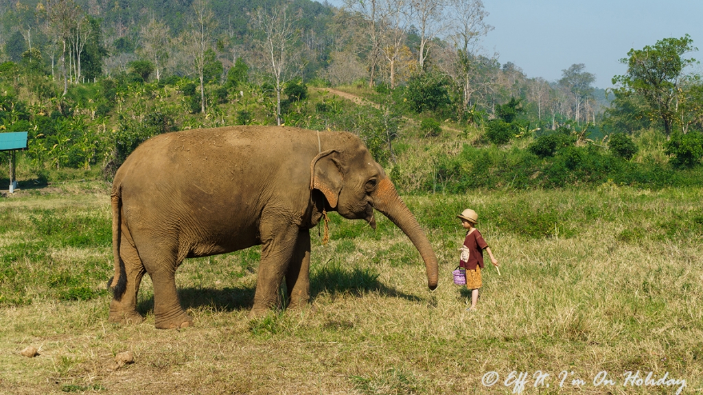 Chiang Mai, Thailand