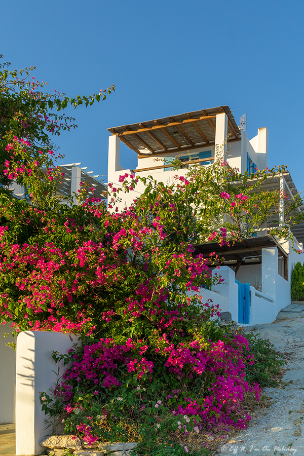 Accommodation in Piso Livadi, Paros