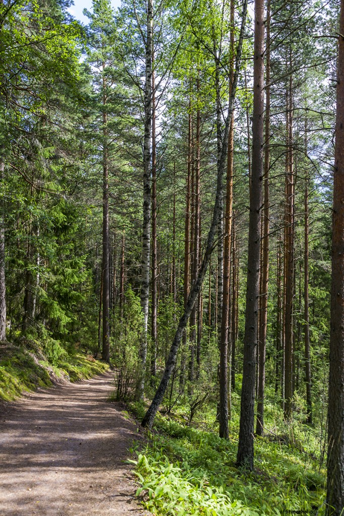 A Day Trip From Helsinki at the Nuuksio National Park