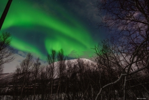 Norhtern Lights, Tromso